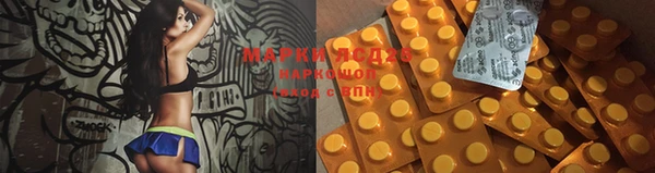 индика Алексин
