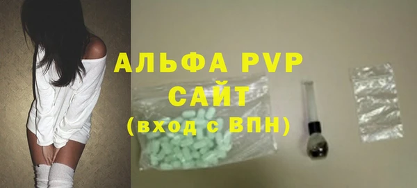 индика Алексин