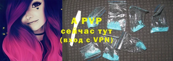 индика Аркадак