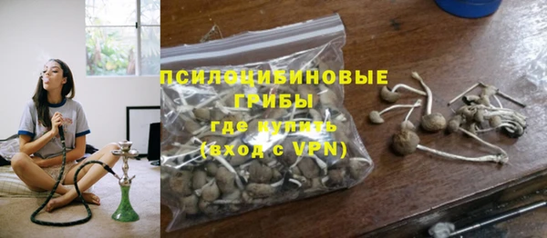 экстази Няндома