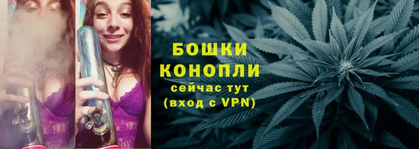 винт Нягань